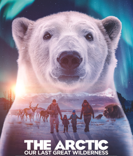The Arctic: Our Last Great Wilderness
