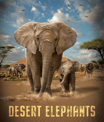 Desert Elephants 