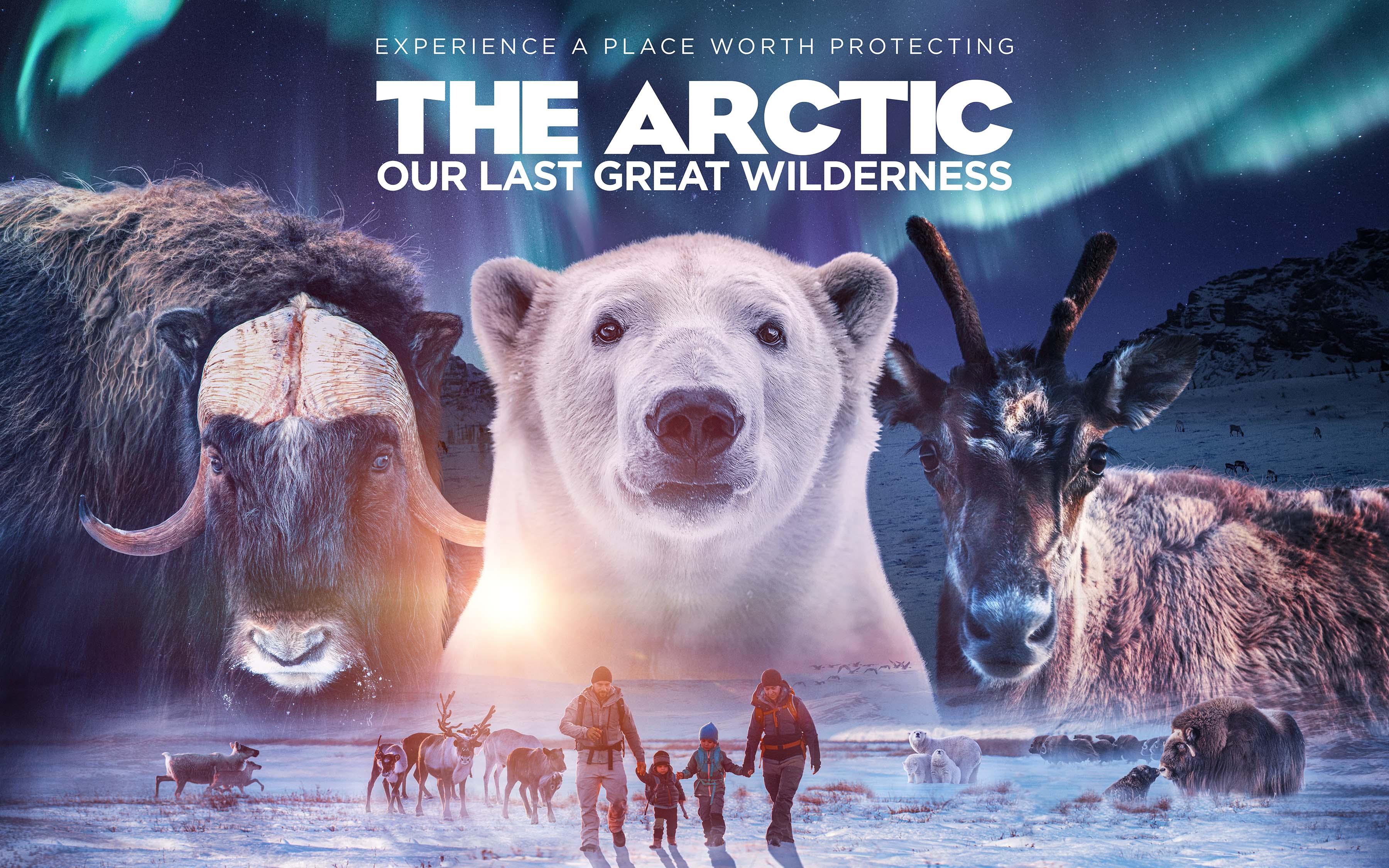 Experience ‘The Arctic: Our Last Great Wilderness’ when it opens at the Science Center on Dec. 8