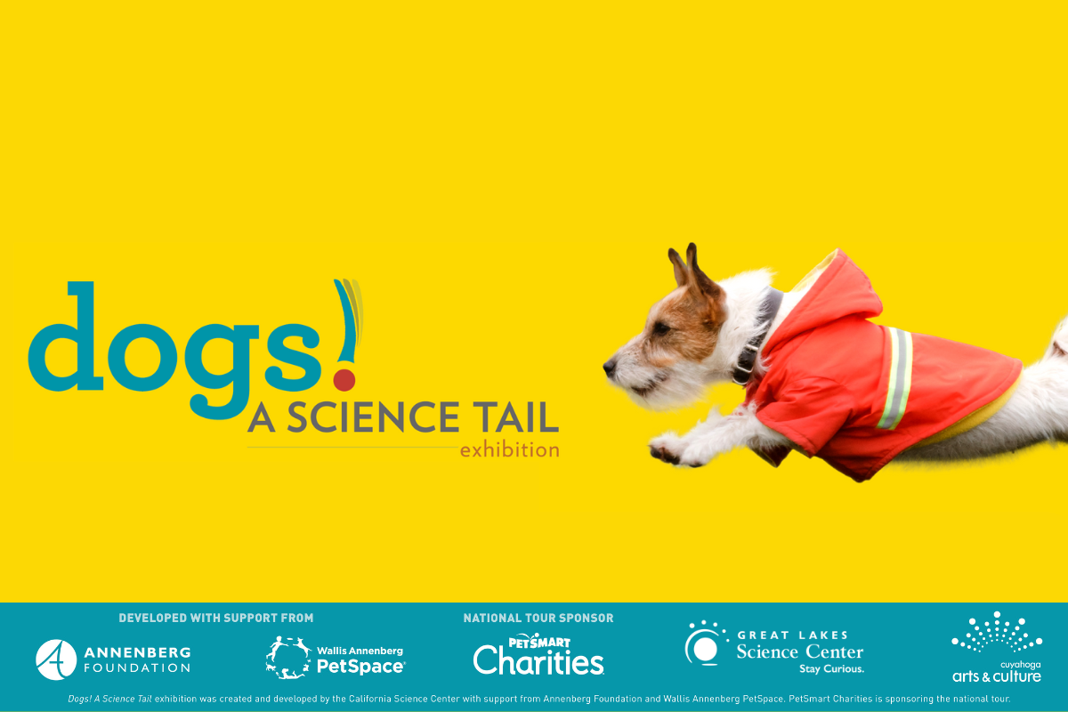 We’re ‘pawsitive’ you’ll love Dogs! A Science Tail,  opening November 8 at the Science Center